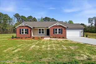 104 Grace Pond Ave, Benson, NC 27504 - Photo 3