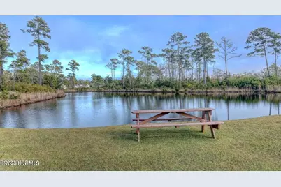 405 Harrison Court, Sneads Ferry, NC 28460 - Photo 19