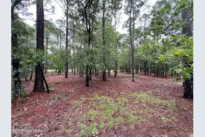 3022 Georgiana Circle SE, Bolivia, NC 28422 - Photo 11