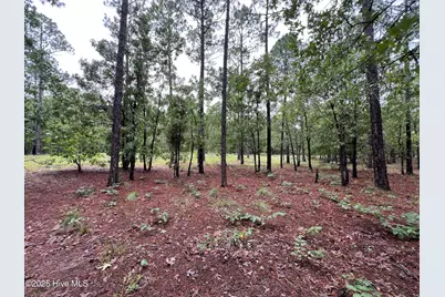 3022 Georgiana Circle SE, Bolivia, NC 28422 - Photo 17