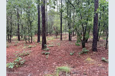 3022 Georgiana Circle SE, Bolivia, NC 28422 - Photo 15