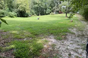 1568 Hidden Acres Ln, Winterville, NC 28590 - Photo 5