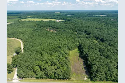 Tbd (1951) Carrtown Dr., Greenevers, NC 28458 - Photo 3