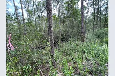 811 Brittany Road, Southport, NC 28461 - Photo 15