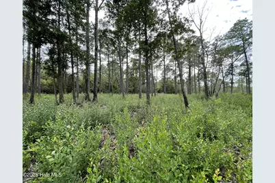 811 Brittany Road, Southport, NC 28461 - Photo 11