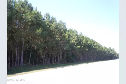 Near 10547 Andrew Jackson Highway SW, Fair Bluff, NC 28439 - Photo 5