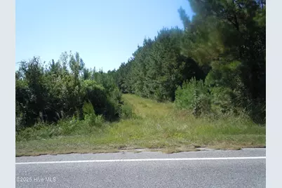 Near 10547 Andrew Jackson Highway SW, Fair Bluff, NC 28439 - Photo 3