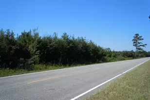Near 10547 Andrew Jackson Hwy SW, Fair Bluff, NC 28439 - Photo 1