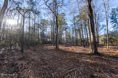 0 Smith Creek Road, Vandemere, NC 28587 - Photo 21