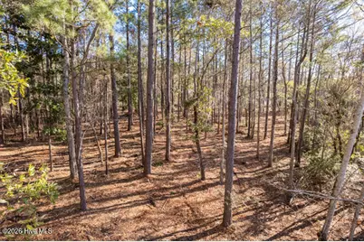 0 Smith Creek Road, Vandemere, NC 28587 - Photo 3