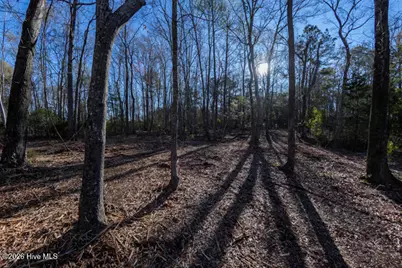 0 Smith Creek Road, Vandemere, NC 28587 - Photo 19