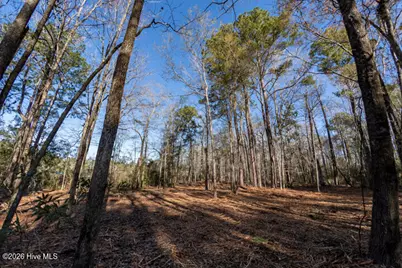0 Smith Creek Road, Vandemere, NC 28587 - Photo 23