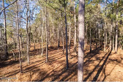 0 Smith Creek Road, Vandemere, NC 28587 - Photo 15
