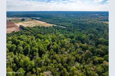 0 Turkey Highway, Turkey, NC 28393 - Photo 7