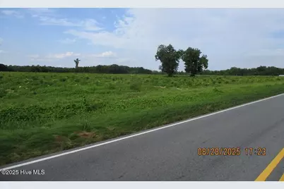 0 Turkey Highway, Turkey, NC 28393 - Photo 9