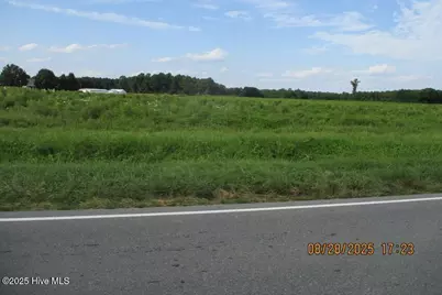 0 Moltonville Road, Clinton, NC 28328 - Photo 7
