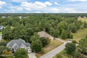 218 Sea Holly Trail, Swansboro, NC 28584 - Photo 61