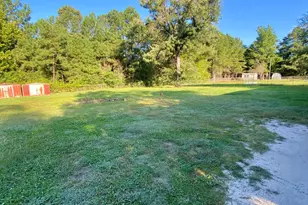 21140 Airbase Rd, Wagram, NC 28396 - Photo 19