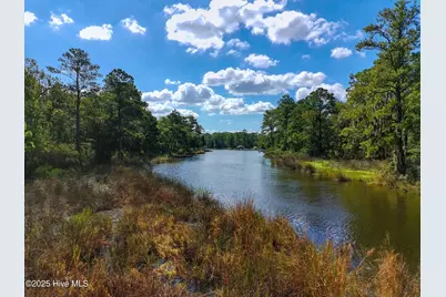 Lot 77 McGowan Road, Bath, NC 27808 - Photo 3
