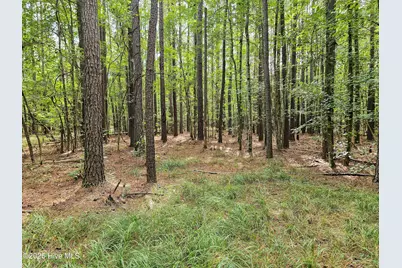 Lot 77 McGowan Road, Bath, NC 27808 - Photo 5