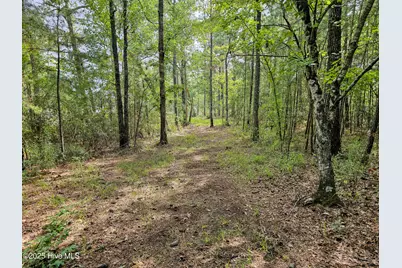 Lot 77 McGowan Road, Bath, NC 27808 - Photo 9