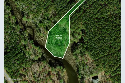 Lot 77 McGowan Road, Bath, NC 27808 - Photo 11