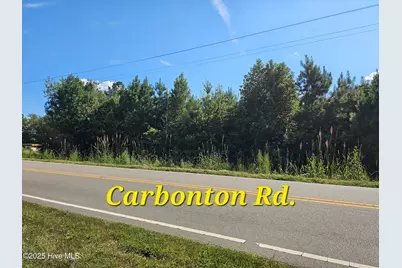 0 Carbonton Road, Sanford, NC 27330 - Photo 3