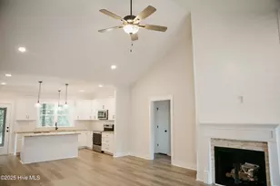 101 Lucky Ln, Pikeville, NC 27863 - Photo 3