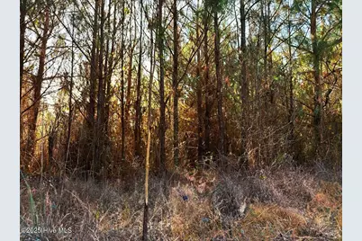 0 Lagrange Road, La Grange, NC 28551 - Photo 7
