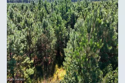0 Lagrange Road, La Grange, NC 28551 - Photo 21