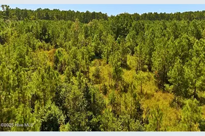 0 Lagrange Road, La Grange, NC 28551 - Photo 13