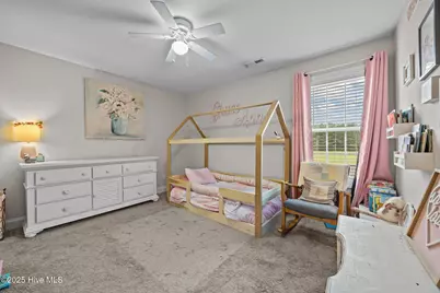 123 Village Creek Drive, Maysville, NC 28555 - Photo 15