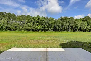 910 Wild Azalea Wy, Hubert, NC 28539 - Photo 25