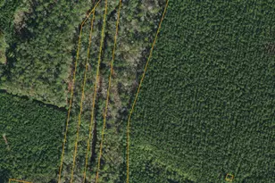 0 Sr 1730 Old Pamlico Beach Road W, Belhaven, NC 27810 - Photo 1