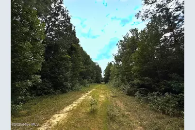 0 Doc Brown Road, Rose Hill, NC 27458 - Photo 53