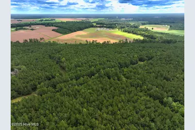 0 Doc Brown Road, Rose Hill, NC 27458 - Photo 33