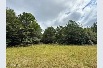 0 Doc Brown Road, Rose Hill, NC 27458 - Photo 51