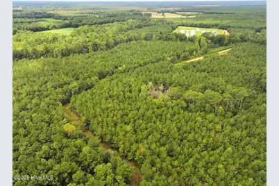 0 Doc Brown Road, Rose Hill, NC 27458 - Photo 15