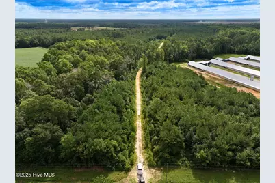 0 Doc Brown Road, Rose Hill, NC 27458 - Photo 11