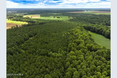 0 Doc Brown Road, Rose Hill, NC 27458 - Photo 35