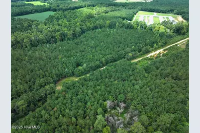 0 Doc Brown Road, Rose Hill, NC 27458 - Photo 25