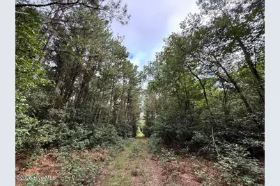 0 Doc Brown Road, Rose Hill, NC 27458 - Photo 57