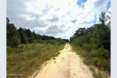 0 Doc Brown Road, Rose Hill, NC 27458 - Photo 49
