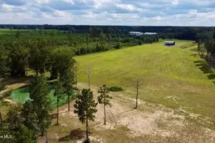 4020 Nc 43 Hwy, Vanceboro, NC 28586 - Photo 1