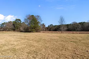 298 Elijah Way, Vass, NC 28394 - Photo 39