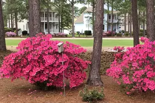 1179 Kingsmill Ct, Sunset Beach, NC 28468 - Photo 35