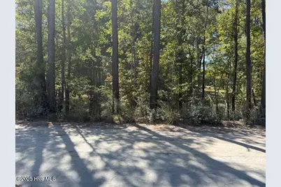 1067 River Road, Tabor City, NC 28463 - Photo 3