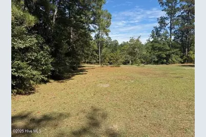 1067 River Road, Tabor City, NC 28463 - Photo 1