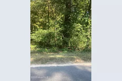 Tbd Cedar Lane, Laurinburg, NC 28352 - Photo 1