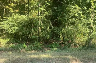 Tbd Cedar Ln, Laurinburg, NC 28352 - Photo 1